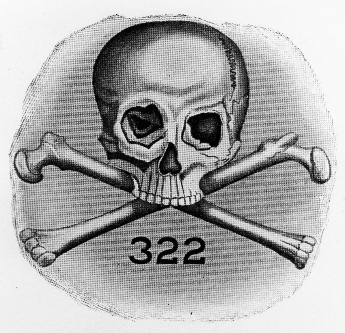 skull-and-bones-322